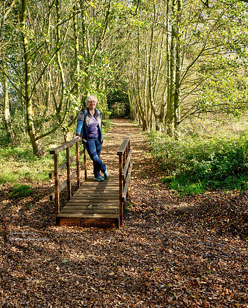 Baxters Bridge in Wakering common