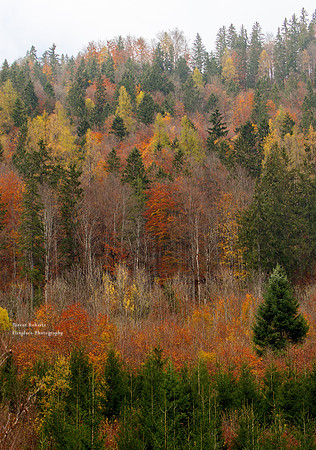 Blühnbachtal November 2018