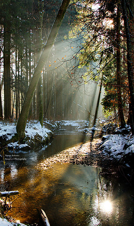 Winter scene along the Kohlaichbach 2