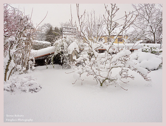 Winter 2019