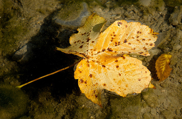 Wiestalstausee Oct 2017