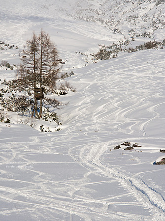 Erichhütte, March 2019