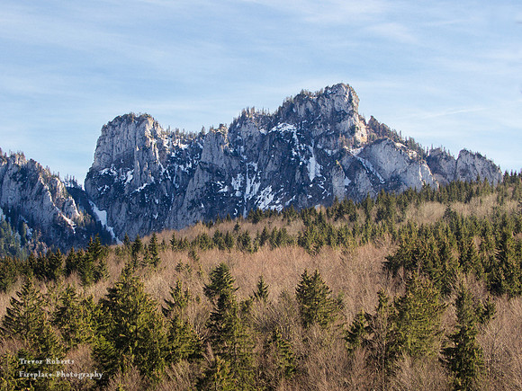 The "Cat Stone" March 2019