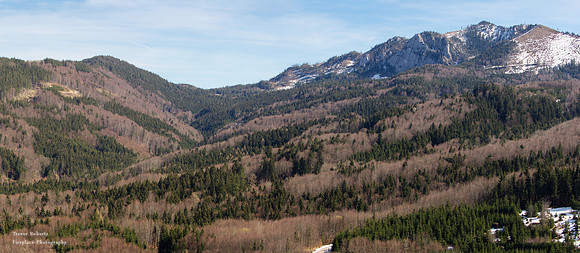 Soft hills on the way to  Laudachsee March 2019