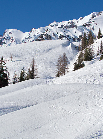 Erichhütte, March 2019