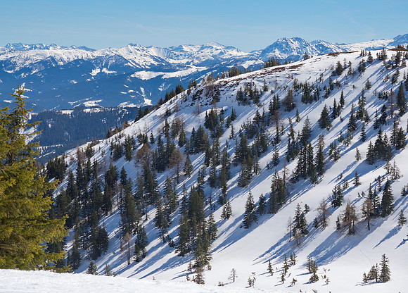 Von Schneeberg, March 2019