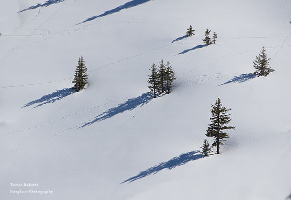 Von Schneeberg, March 2019