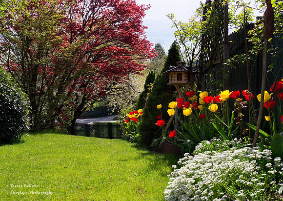 2019 Easter Monday: Garden  Flowers