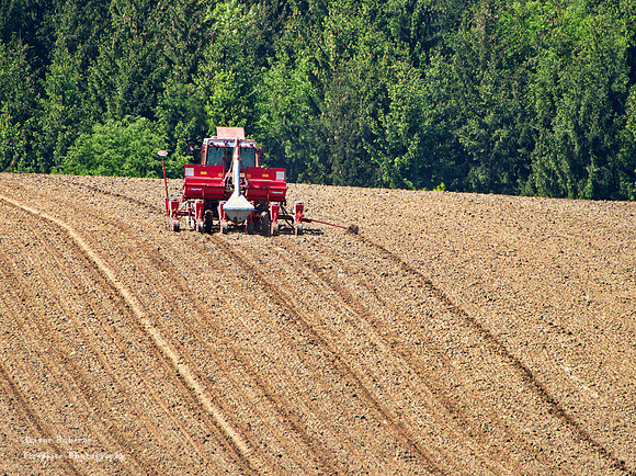 Sowing the new seed