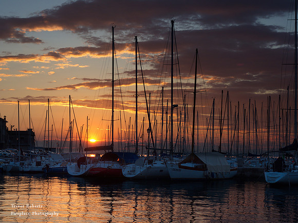 Muggia