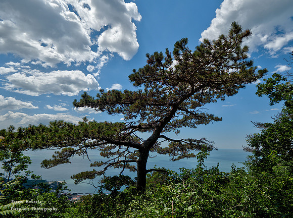 Trieste