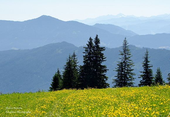 Schneeberg June 2019