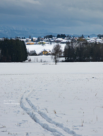 Freileiten in Winter