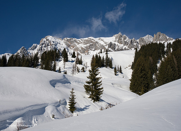 A winter's snowy scene 2 on the way to Erichhütte-Feb 2022