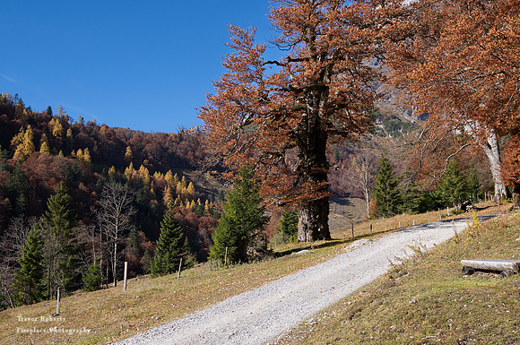 Riedingalm. Autumn time 2021