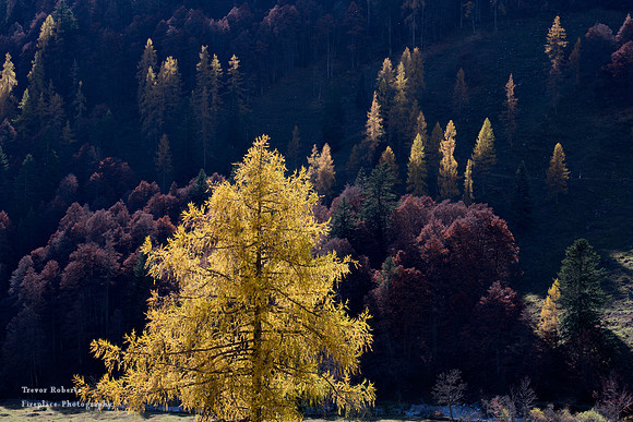 Riedingalm. Autumn time 2021