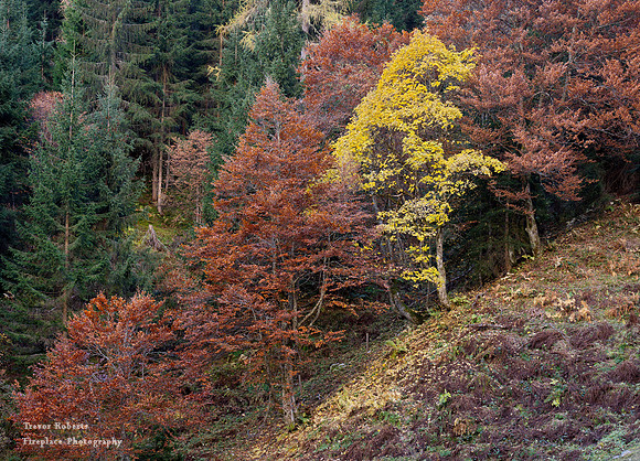 Riedingalm. Autumn time 2021