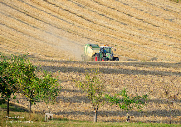 End of July is harvest time in Pilsbach