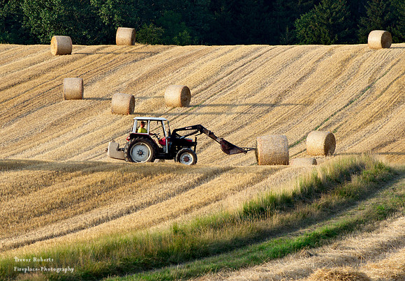 End of July is harvest time in Pilsbach