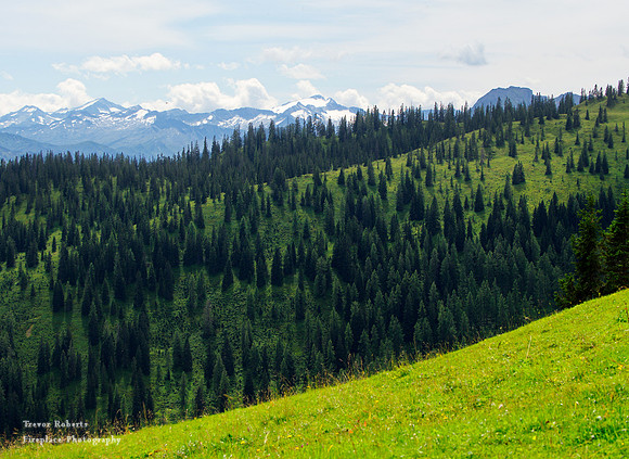 View from Mitterfeldalm August 2019