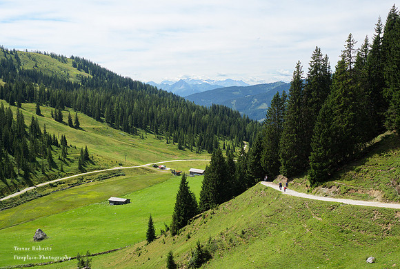 On the way to Mitterfeldalm- August 2019