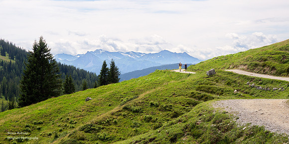 On the way to Mitterfeldalm- August 2019