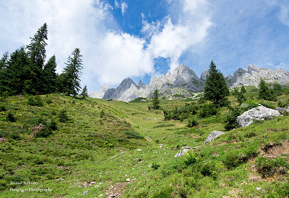 On the way to Mitterfeldalm- August 2019