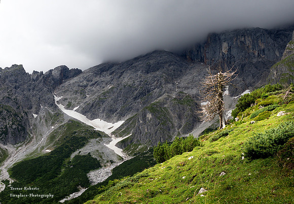 Arthurhaus to Erichhütte August 2019-Lone Tree- Game over!
