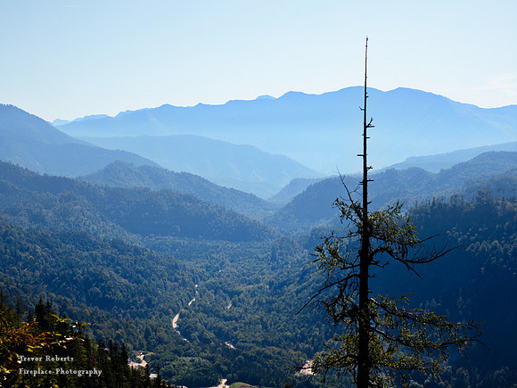 Schoberstein Sep 2019