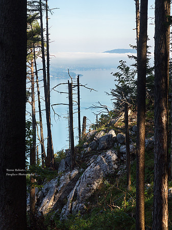 Schoberstein Sep 2019