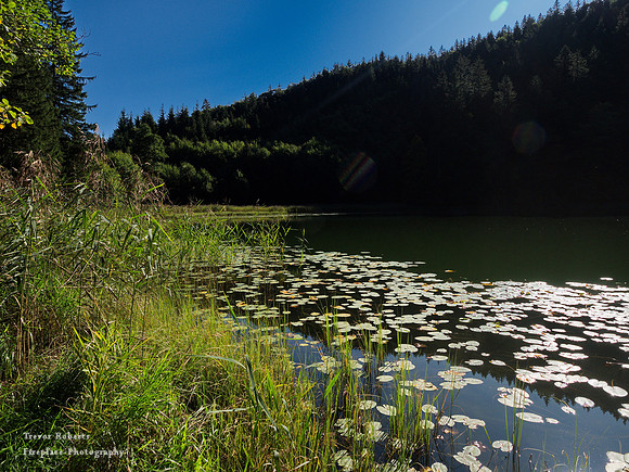 Filblingsee