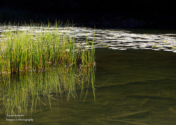 Filblingsee