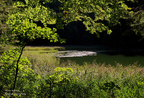 Filblingsee