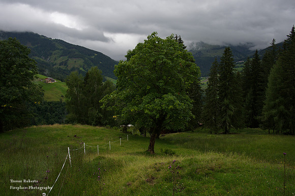 Pronebenalm 2021