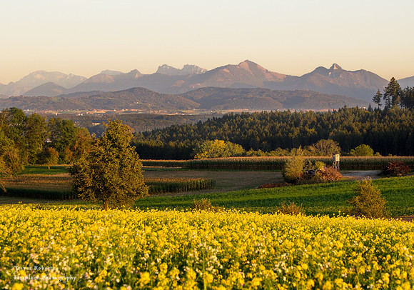 Abendstimmung am Hohenweg Okt 2019