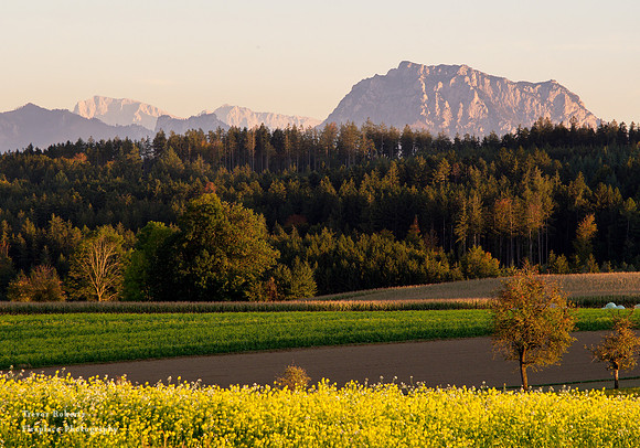 Abendstimmung am Hohenweg Okt 2019