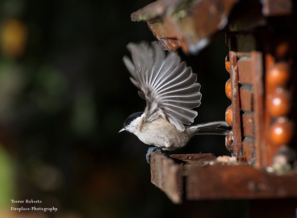 Take off !