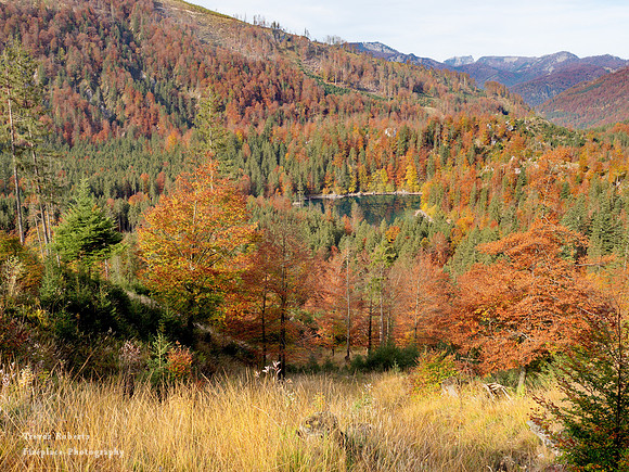 Lake Ödsee:  Autumn 2019
