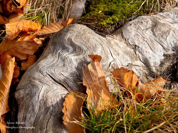 Lake Ödsee:  Autumn 2019