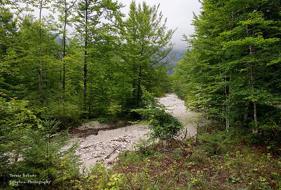 A dried up river bed on the way from Offensee to Wildensee.