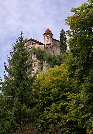 Bled lake