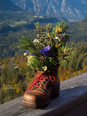 Am Loserhütte 2019