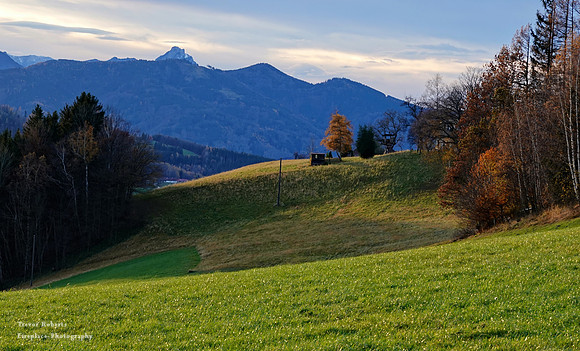 Oberschlierbach , November 2019