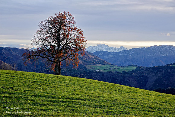 Oberschlierbach , November 2019