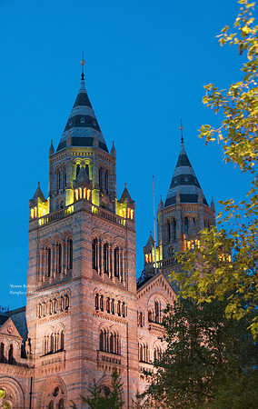 Early evening shot of the Natural History Museum