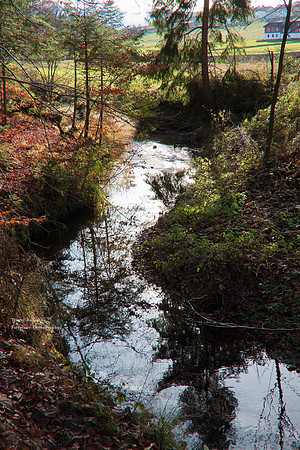 Bachlweg, Kirchstetten Dezember 2019