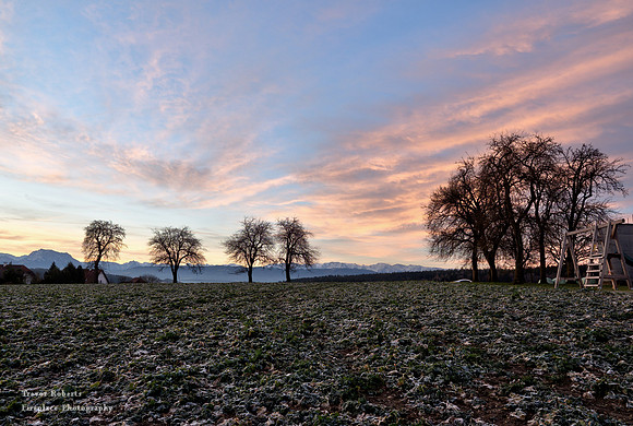 After Sunrise at Landerer