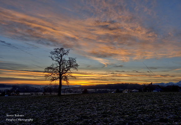Sunrise at Landerer 1