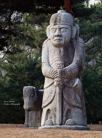 Standing guard at the Korean Kings tomb