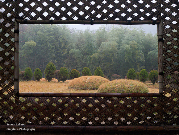 Bamboo Forest Park